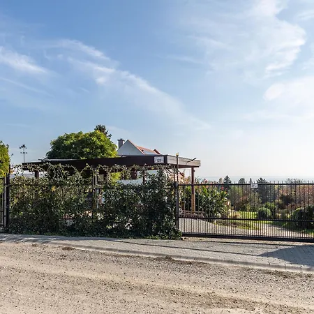 Balaton View From Almadi With Terrace & Garden - Happy *
